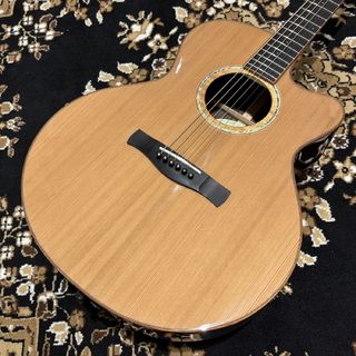 アコースティックギター／エレクトリック・アコースティック