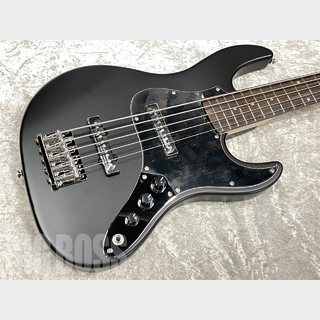 GrassRoots G-AMAZE-5-DX【Black Satin】