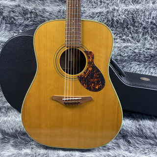 Furch Guitars D22-SR 2010年製