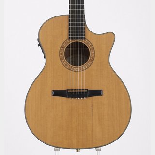 Taylor NS34ce【新宿店】