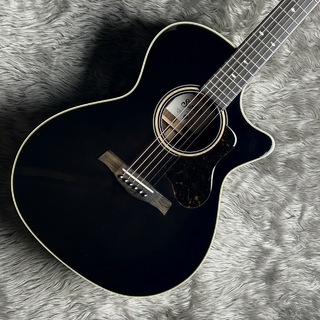 Switch Custom GuitarsGA-70C【現物写真】