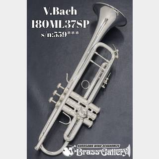 Bach Stradivarius トランペット 180ML37SPの検索結果【楽器検索