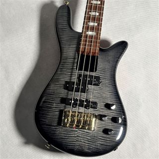 SpectorEURO BOLT4 Figured Maple Top【現物画像】Exclusive Limited