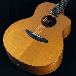 baden guitarsA-CZ