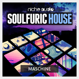 NICHE AUDIO SOULFURIC HOUSE - MASCHINE