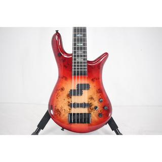 Spector EURO 5 CST