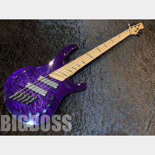 Acacia Guitars Atlas 5 String 【Purple Burst】