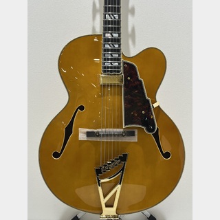 D'Angelico Excel EXL-1 / Amber