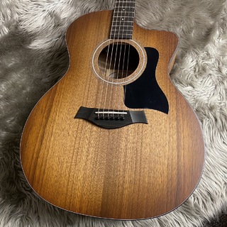 Taylor124ce Special Edition【現物画像】【最大36回分割無金利キャンペーン実施中】