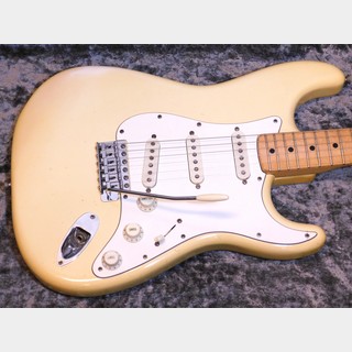 Fender Stratocaster '74 Olympic White / Maple