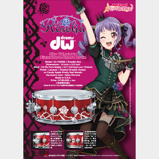 dw Roselia Ako Udagawa Signature Snare Drum【ご注文受付中】