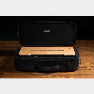 Moog Etherwave THEREMIN Series Case