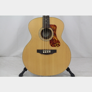 アコースティック・ベース／エレアコ・ベース、フレットレスの検索結果