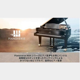 IK Multimedia 【Black Friday Sale！】Pianoverse Max