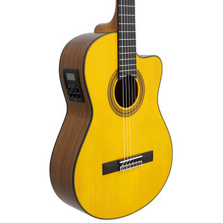 ARIA ARIA A-35SCE スプルース単板のエレガット!