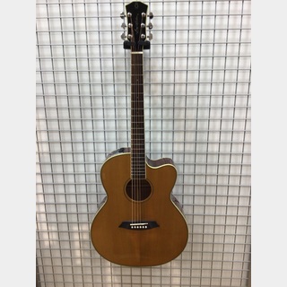 アコースティックギター／エレクトリック・アコースティックギター