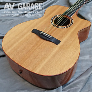 AYERS A-03C Electric Acoustic Guitar