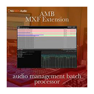 NuGen Audio AMB MXF Module [メール納品 代引き不可]