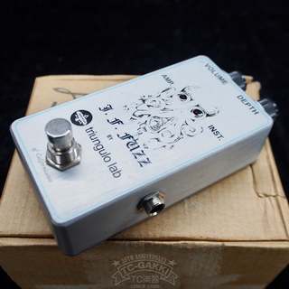 Triungulo Lab J.F.FUZZ