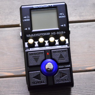 ZOOM MS-80IR+