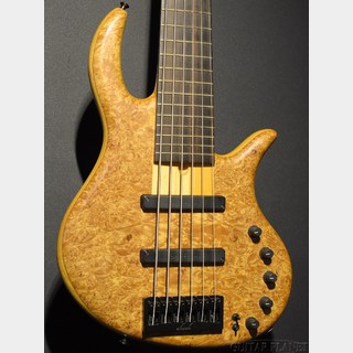 Elrick Platinum Series E-volution 6 -Burled Maple top - 34"Scale 【4.05kg】【2013/USED】【金利0%対象】