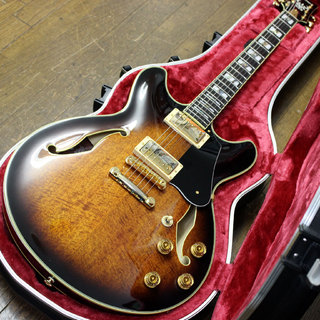 エレクトリックギター ＞ セミアコ、Ibanez、JSM10の検索結果【楽器