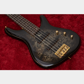 Sugi NB5IR POP/ASH2P CHAB 2020 3.930kg #S200151【GIB横浜】