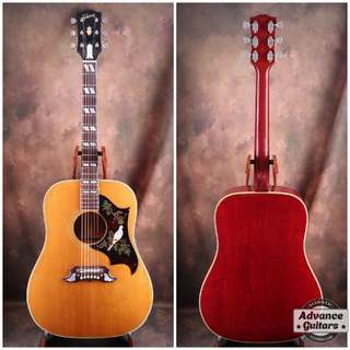 超美品希少品　Gibson Dove custom2015年製 TC楽器】Gibson Dove Custom【商品紹介】 - YouTube