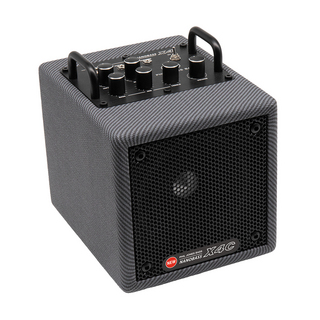 Phil Jones BassNANOBASS X4C Black Tweed【冬季限定カラー】