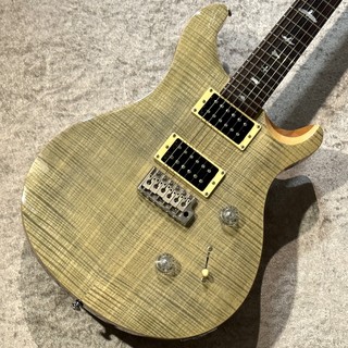 Paul Reed Smith(PRS) 【美品USED】SE Custom 24 #R28463【3.70kg】