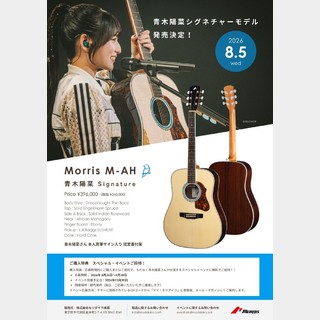 アコースティックギター／エレクトリック・アコースティックギター