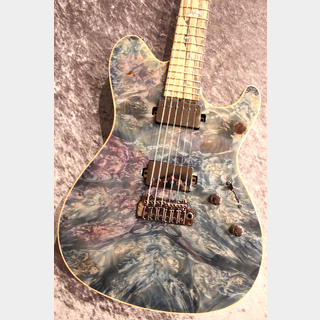 Sugi Custom Order DS496B&W BM-PRM/HM/Alder Nebura #S240117 【超希少! フレイムペールムーンエボニー指板!】