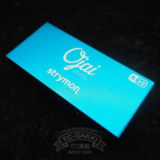 ケーブル／電源／ワイヤレスシステム、strymonの検索結果【楽器検索