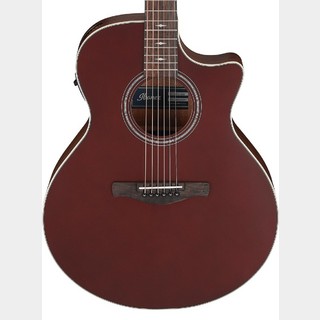Ibanez AE100 (Burgundy Flat)