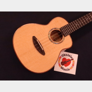 aNueNue UC-100 Sitka Spruce Top Mahogany Bird Concert with Shell Inlay Rosette Ukulele #5467 