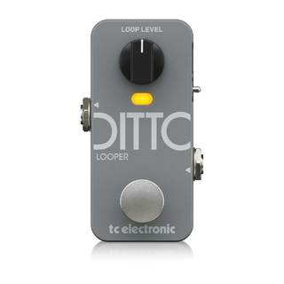 ギター用エフェクター、t.c. electronic、Ditto Looperの検索