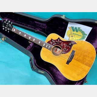 アコースティックギター、Gibson、Humming Birdの検索結果【楽器検索