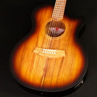 Cole Clark TL Thinline CCTL2EC-BLBL-BSUN All Australian Blackwood Sunburst ≪S/N:240515940≫ 【心斎橋店】