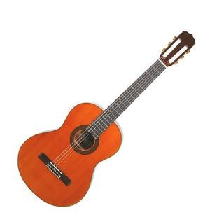 ARIAA-20 Basic クラシックギター