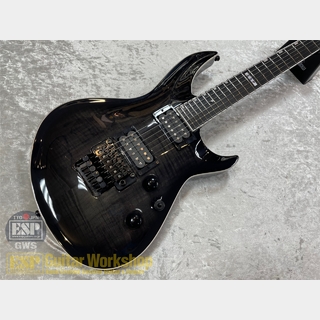 E-II HORIZON-III FR【See Thru Black Sunburst】