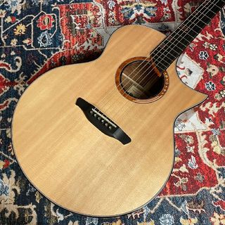 HAYASHI GUITARSの検索結果【楽器検索デジマート】