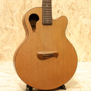アコースティックギター／エレクトリック・アコースティックギター