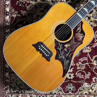 Epiphone FT120 Masterbuilt　Excellente 【現物写真】