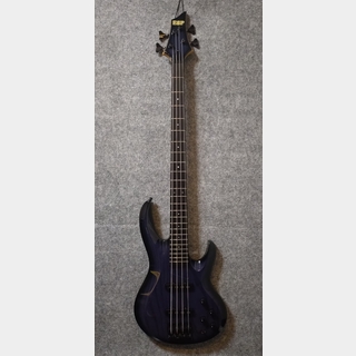 ESP Bottom Line STD 2002 RAINDEER BLUE