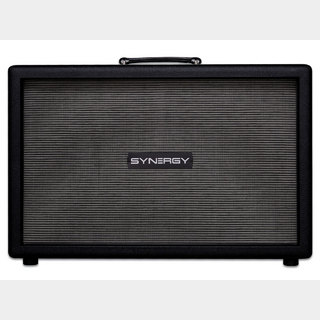 SYNERGY AMPS 2×12 Cabinet