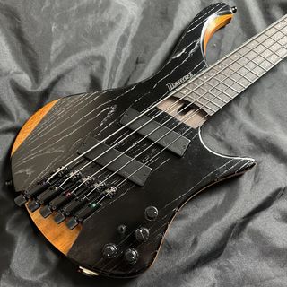 エレクトリック・ベース、ヘッドレス OR steinbergerの検索結果