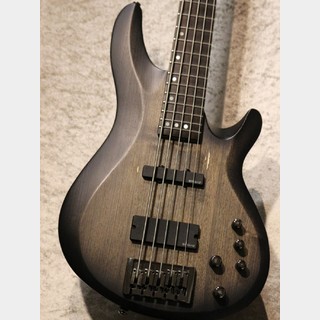 SCHECTER Diamond Series C-5 Custom【USED】【EMGピックアップ】