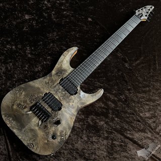 EDWARDS E-HR7-FX/BM【Ash Black】