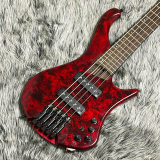 Ibanez EHB Workshop EHB1505-SWL (Stained Wine Red Low Gloss) S/N.231204696 【2024年新モデル】