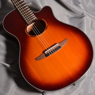 YAMAHA NTX1 / Broun Sunburst